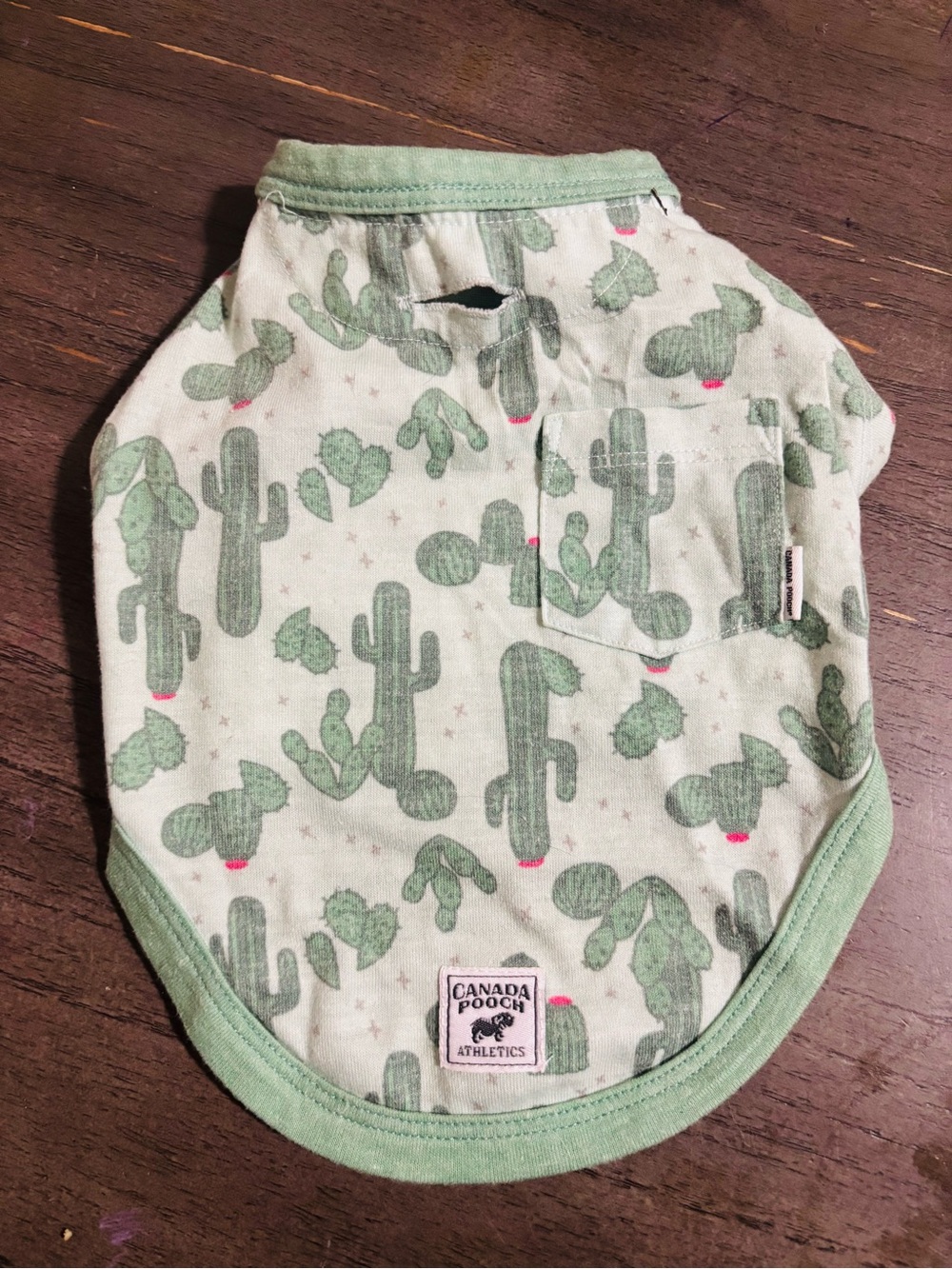 Green Cactus Print Pet Outfit